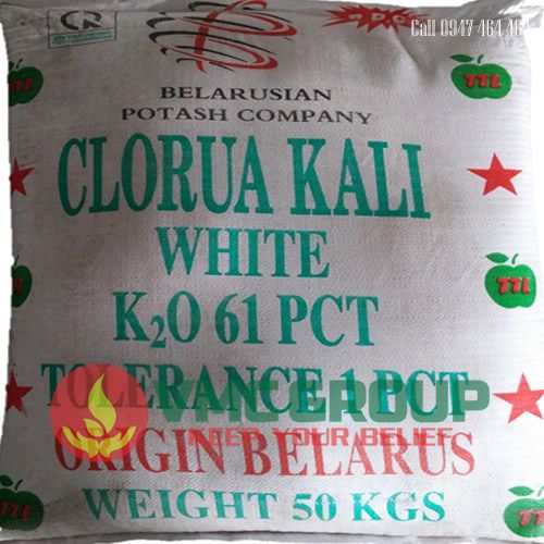 ban Kali Clorua – KCL Potassium Chloride (MOP)